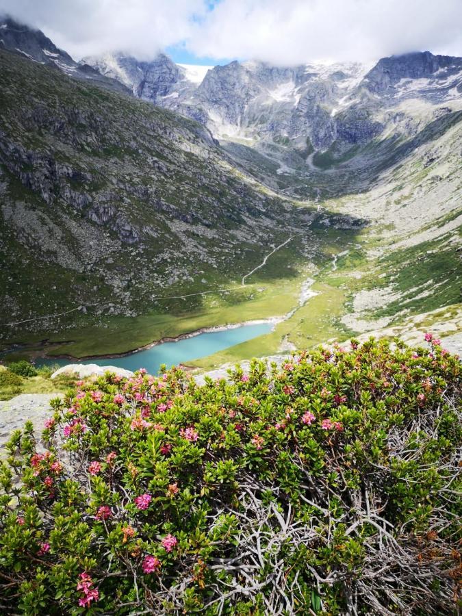 Rifugio Stella Alpina Hotel Saviore dell'Adamello Buitenkant foto