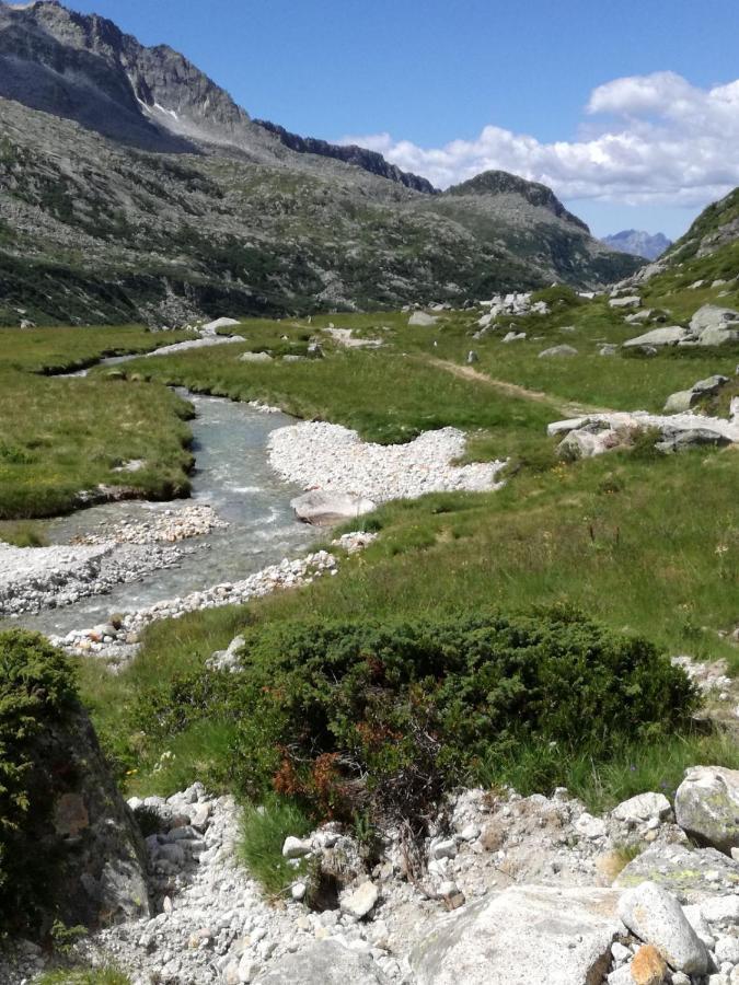 Rifugio Stella Alpina Hotel Saviore dell'Adamello Buitenkant foto